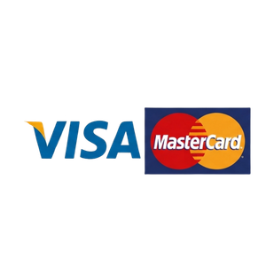 Visa Secure Payment